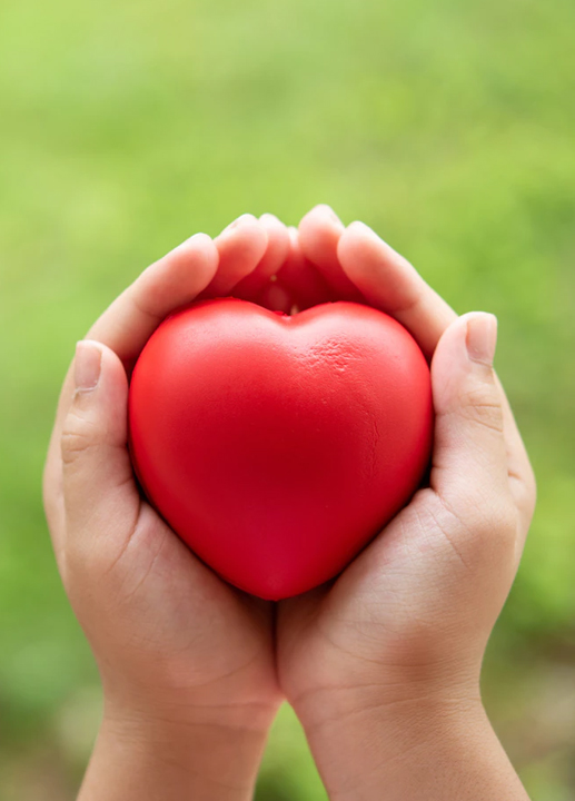Provide Innumerous Health Benefits